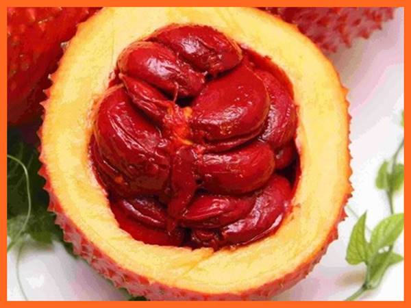 Mơ thấy quả gấc là điềm báo tốt hay xấu? Đánh con gì Mơ thấy quả gấc là điềm báo tốt hay xấu? Đánh con gì