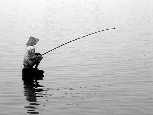 Nằm mơ thấy câu cá đánh con gì? số mấy dễ trúng Nằm mơ thấy câu cá đánh con gì? số mấy dễ trúng