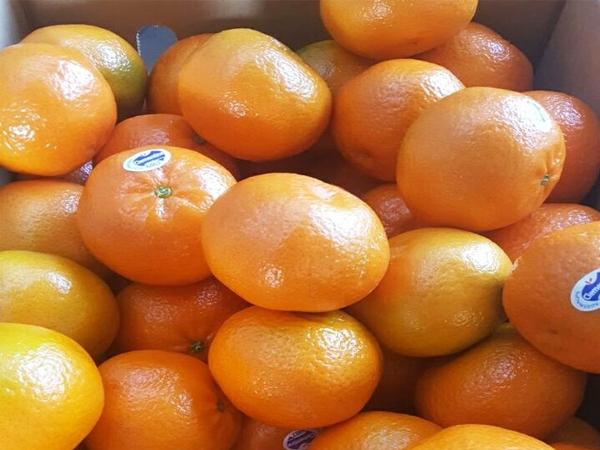 Nằm mơ thấy quả quýt đánh con gì may mắn có ý nghĩa gì Nằm mơ thấy quả quýt đánh con gì may mắn có ý nghĩa gì