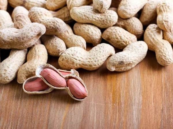 Mơ thấy củ lạc đánh số gì dễ trúng , có ý nghĩa gì? Mơ thấy củ lạc đánh số gì dễ trúng , có ý nghĩa gì?