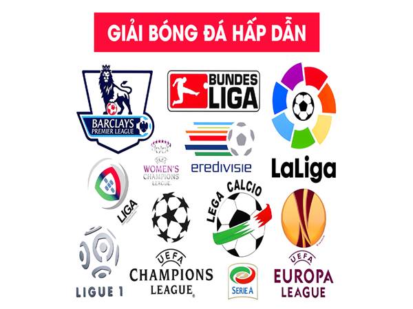 Tìm hiểu các giải bóng đá lớn trên thế giới nhiều fan nhất Tìm hiểu các giải bóng đá lớn trên thế giới nhiều fan nhất